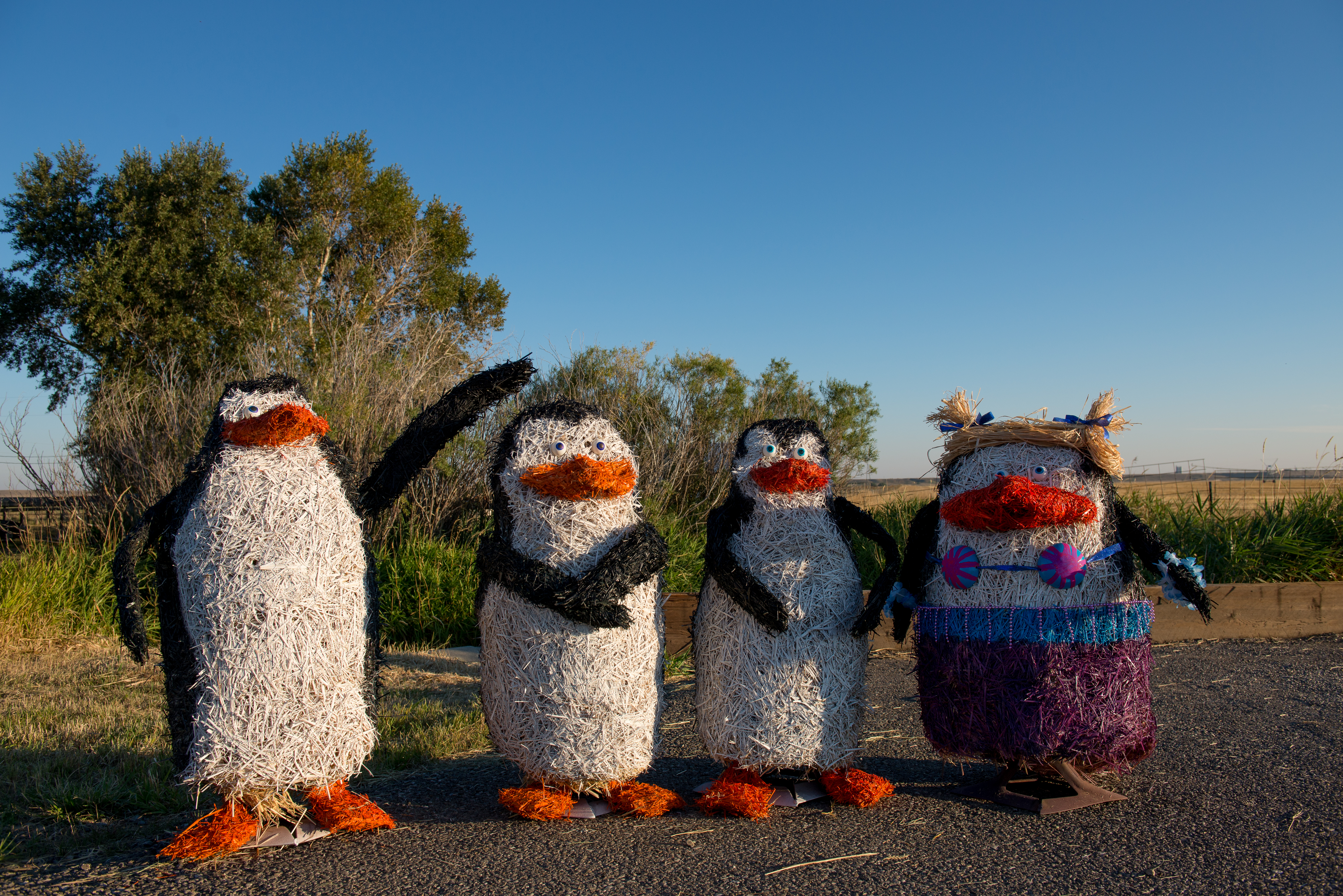 The Montana Bale Trail